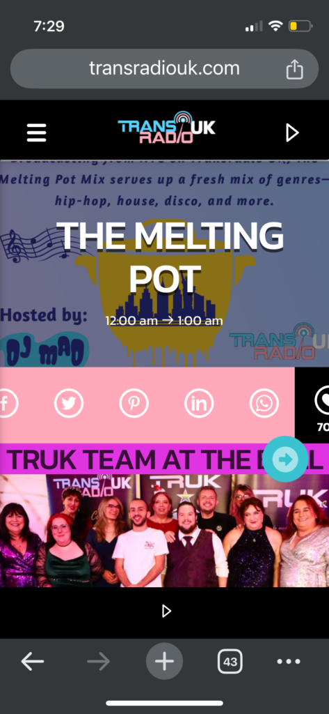 Screenshot of the Melting Pot on Trans Radio UK.